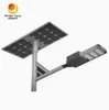 Raygh Patent calle pública 170lm/W 50W 100W 120W luz solar LED