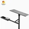 Raygh Patent calle pública 170lm/W 50W 100W 120W luz solar LED