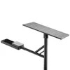 Luces de calle LED para postes de jardín alimentadas por panel solar Rygh-Zc-50W, 170lm/W