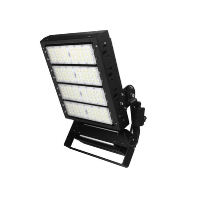 El poder más elevado ahorro de energía 800w llevó las luces de inundación para los argumentos que se divertían