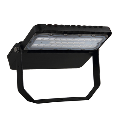 CA de aluminio 200-295V del conductor de la luz de calle del alto lumen LED IP65 100W MEANWELL