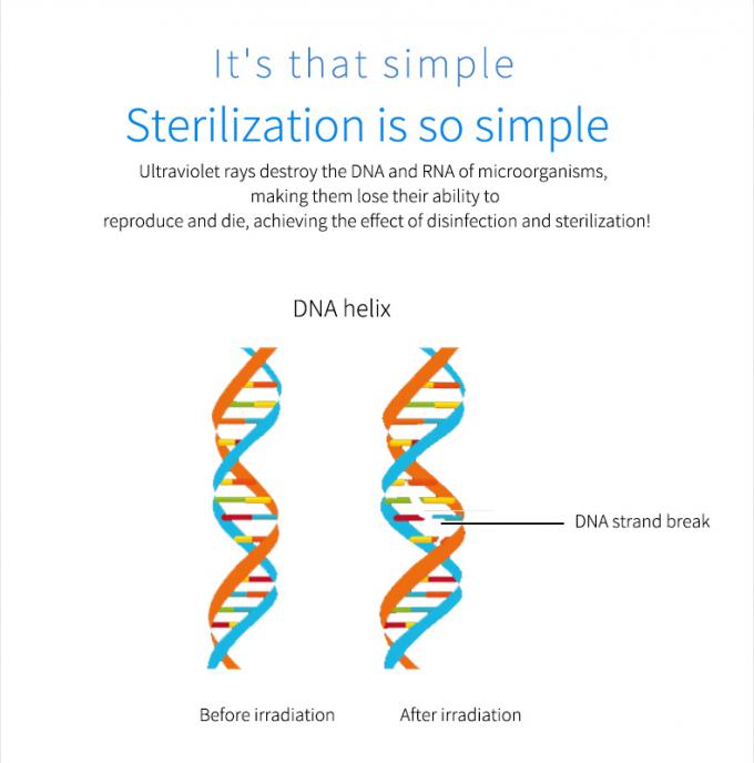 esterilizador ultravioleta del teléfono